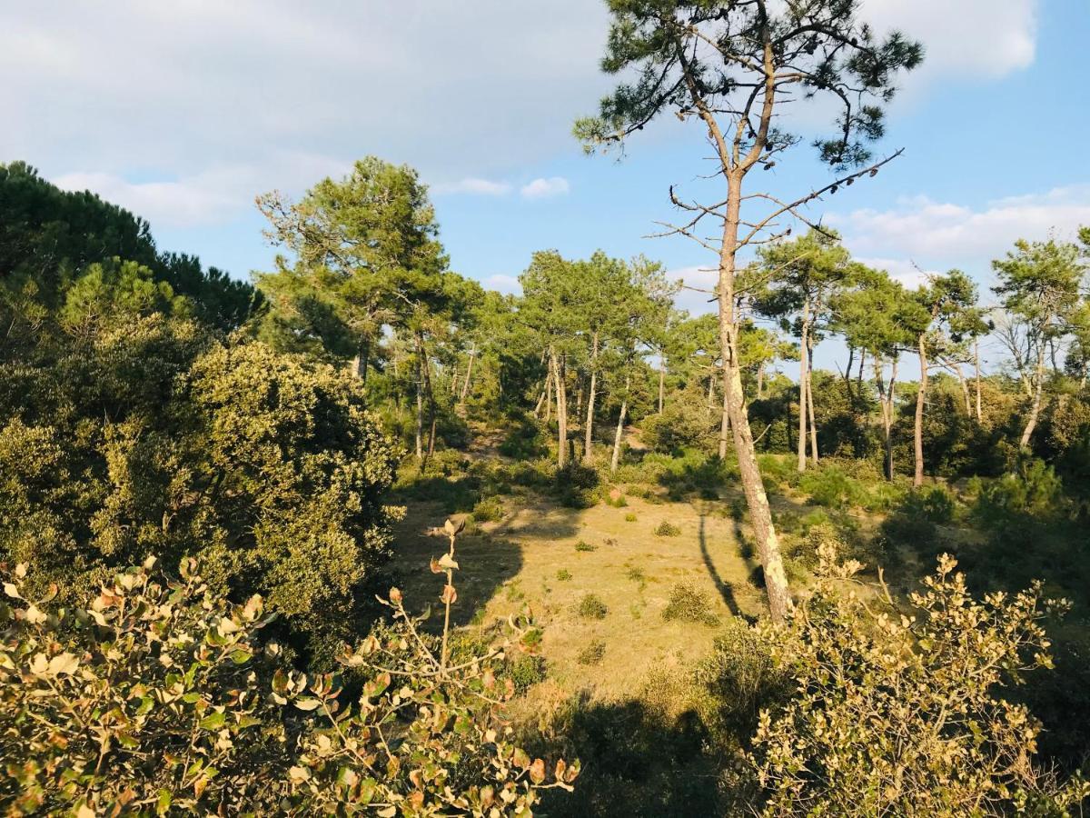 Le Miramar, Face Mer Et Standing Saint-Jean-de-Monts Zewnętrze zdjęcie